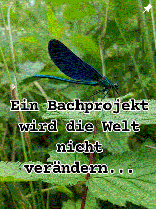 Bachliebe Andre Holzinger